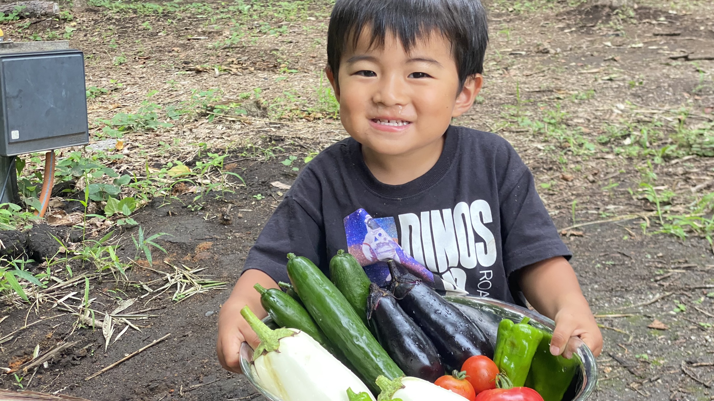 季節の野菜